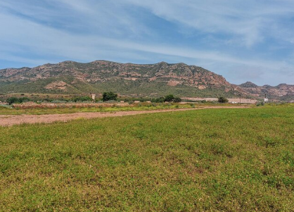 p.road